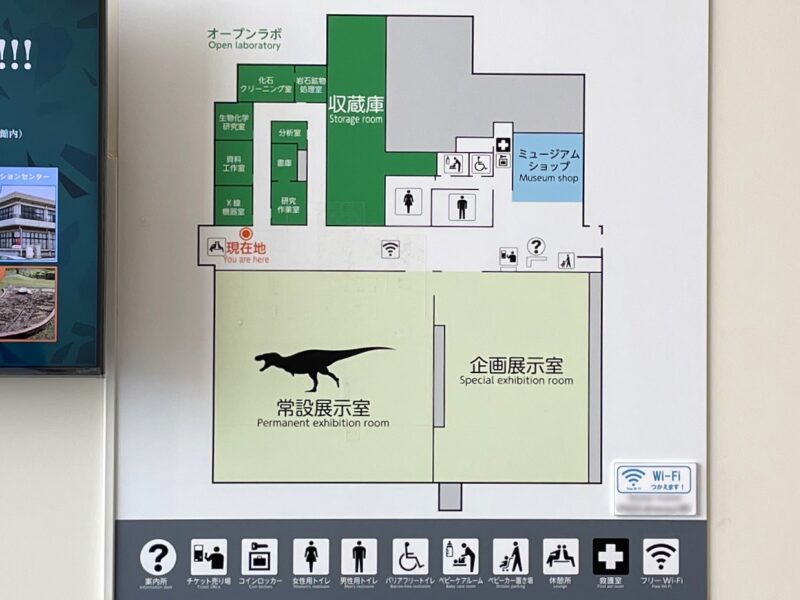 長崎市恐竜博物館内マップ