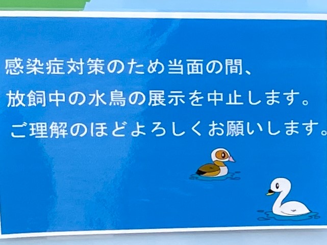 水鳥展示中止のお知らせポスター