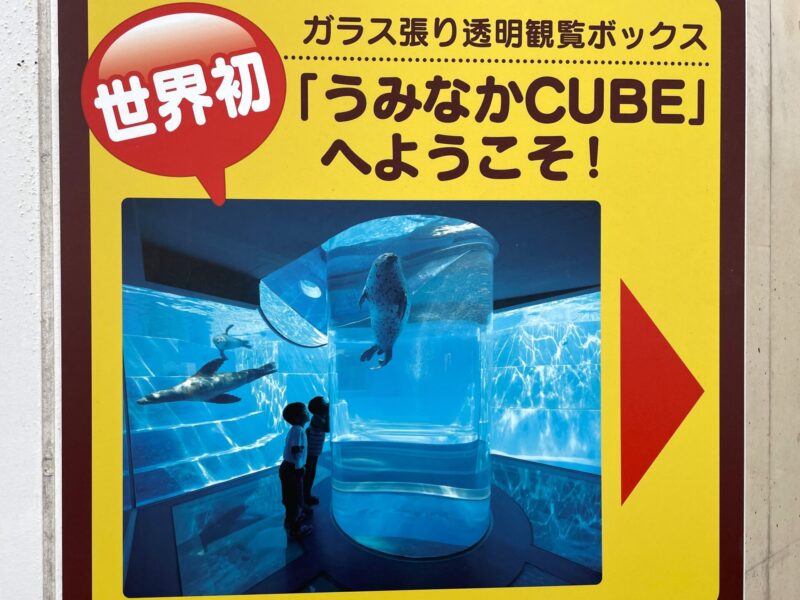 世界初　ガラス張り透明観覧ボックス「うみなかCUBE」